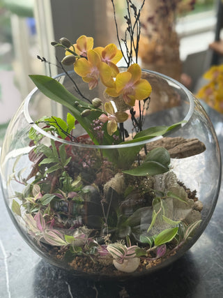 Orchid Terrarium