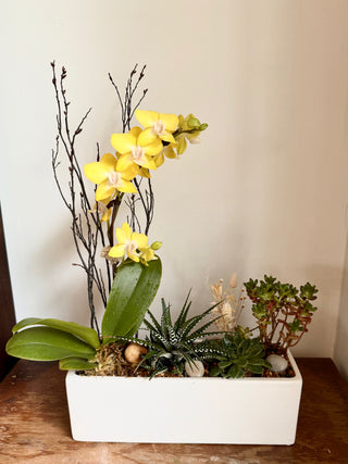 Orchid Garden