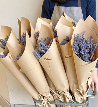 French Dried Lavender Bouquet from Provence