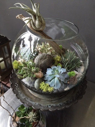 Globe Terrarium