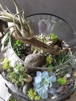 Globe Terrarium