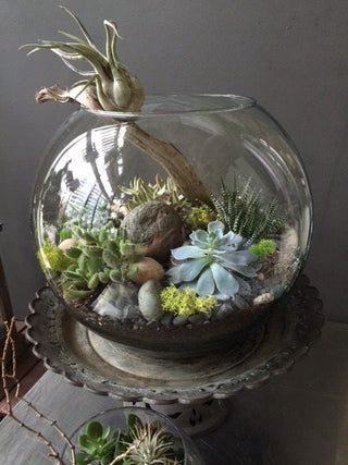 Globe Terrarium