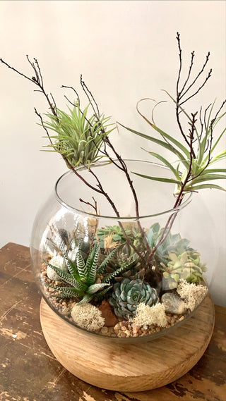 Globe Terrarium