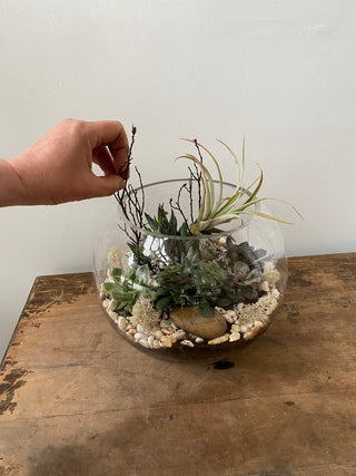 Terra Collective