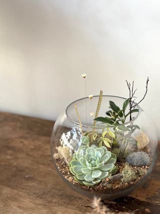 Terra Collective