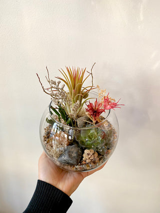 Terra Collective