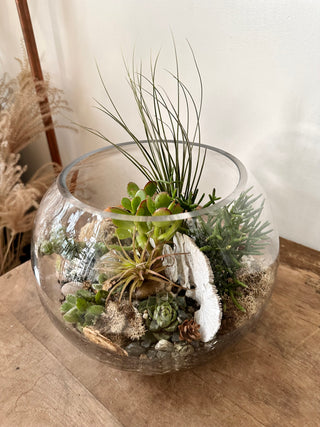 Terra Collective