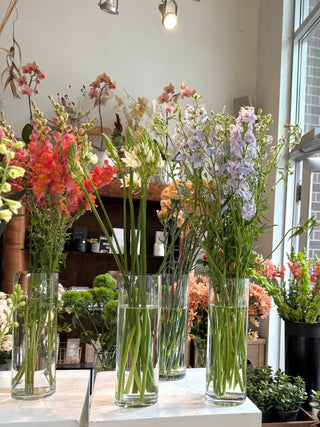 Botanical Social