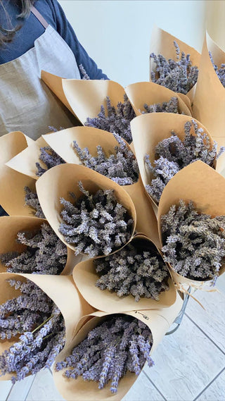 French Dried Lavender Bouquet from Provence